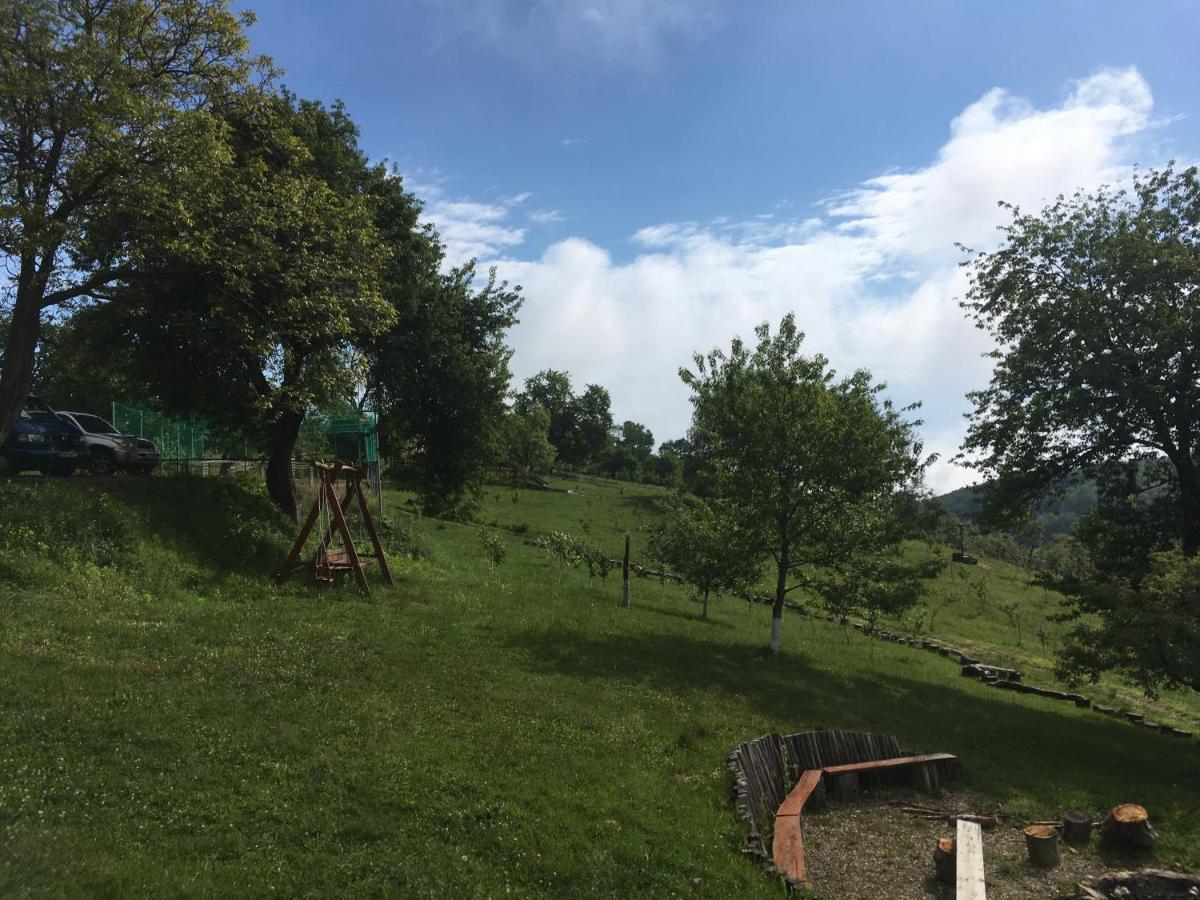 Rose Hip Hill Farm Bed & Breakfast Valea Tirnei Exterior photo