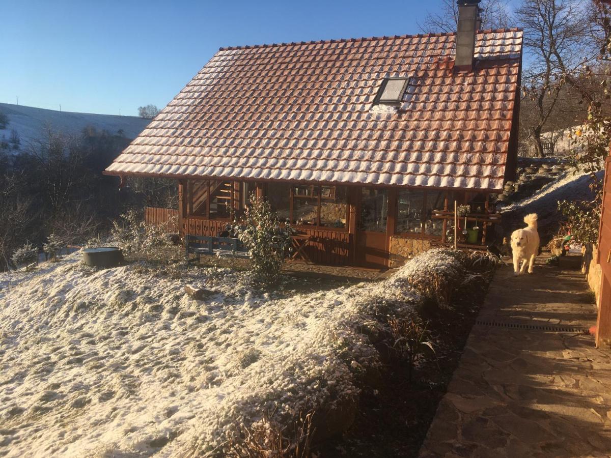 Rose Hip Hill Farm Bed & Breakfast Valea Tirnei Exterior photo